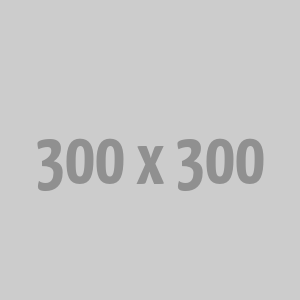 Bluetooth FM Car Charger